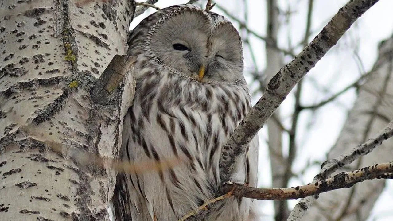 личный архив семьи Васильевых