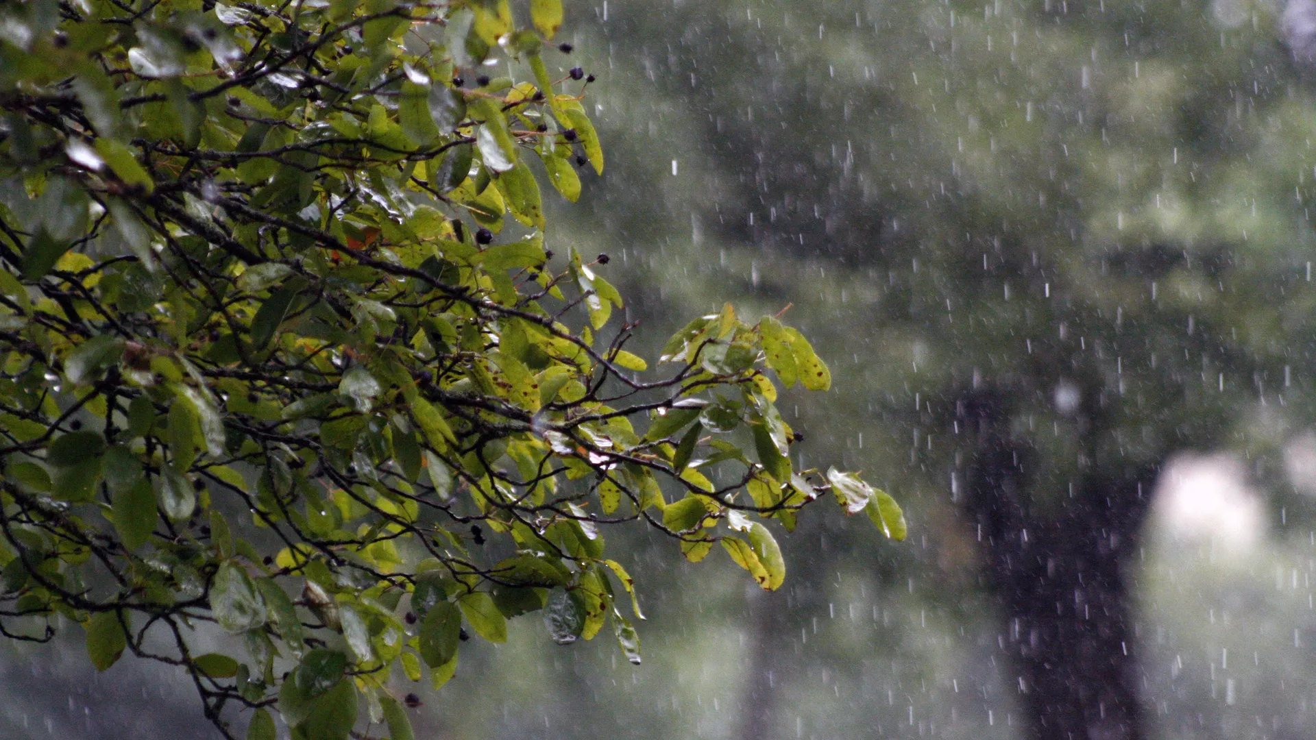 Фото: unsplash.com