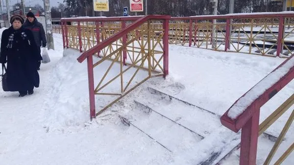 РЖД не расчистила станцию в Пушкинском районе 