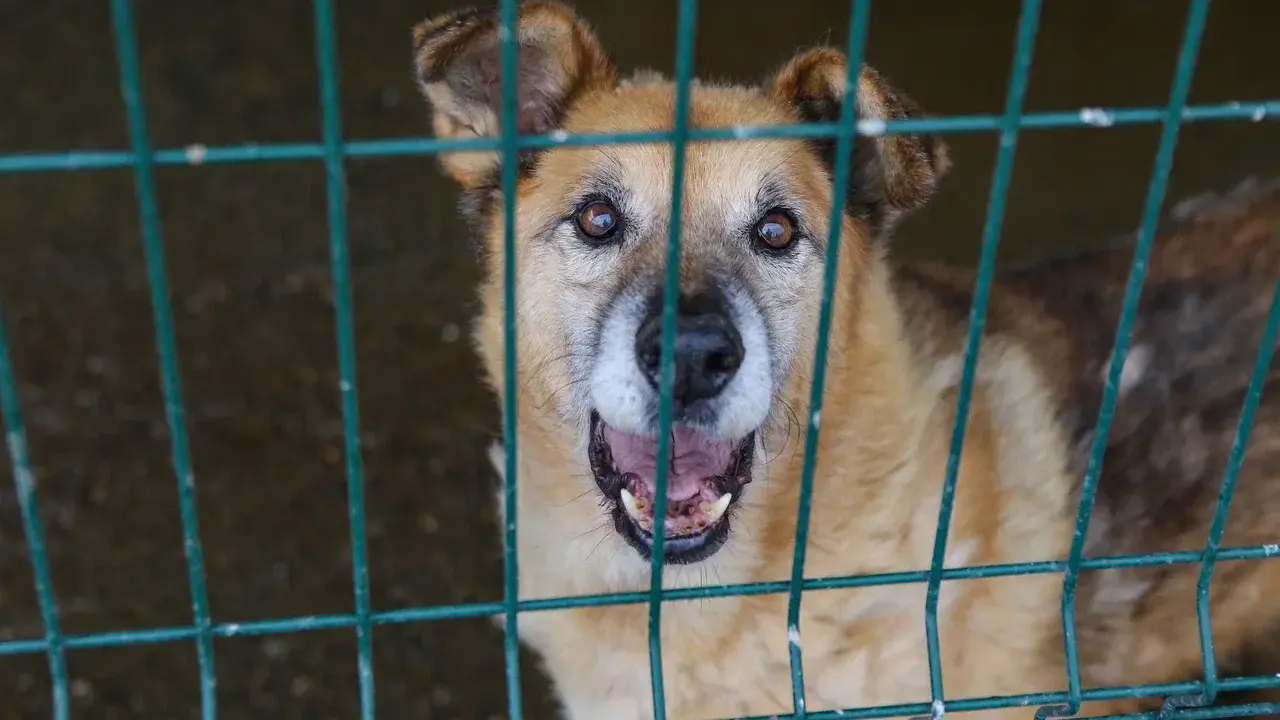 пресс-служба Администрации г.о. Химки