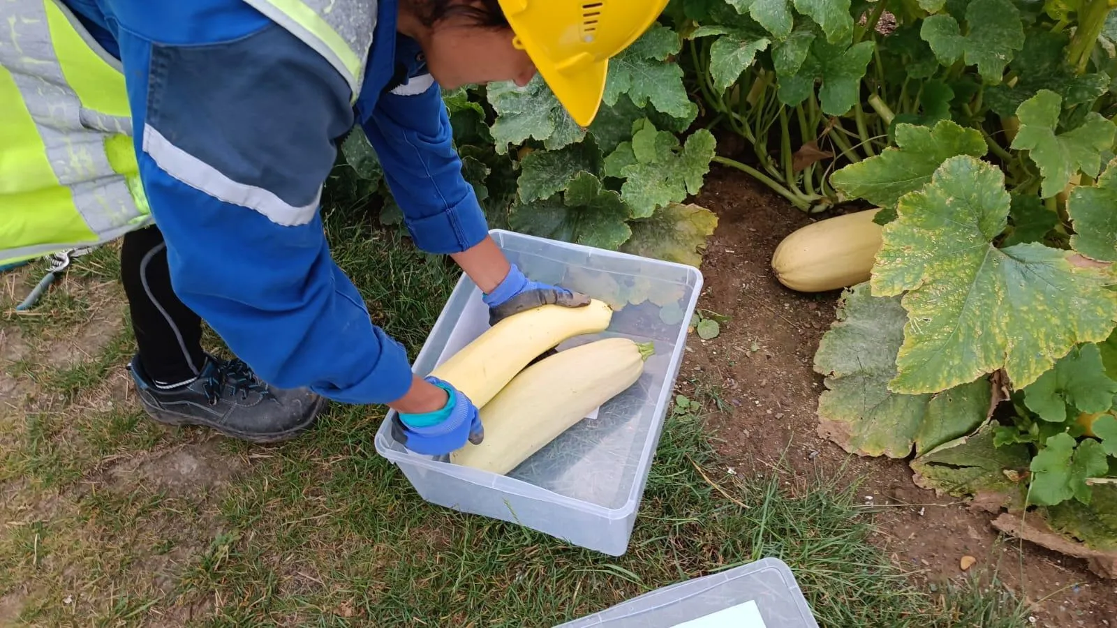 Фото: МинЖКХ МО