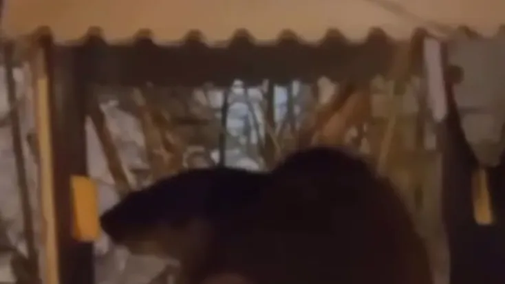 Стоп-кадр видео из соцсетей