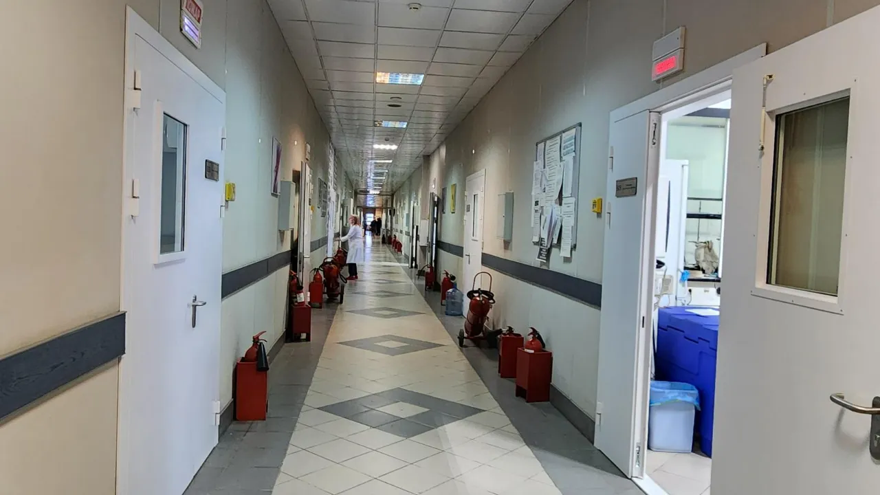 МедиаБанк Подмосковья/Максим Сафронов