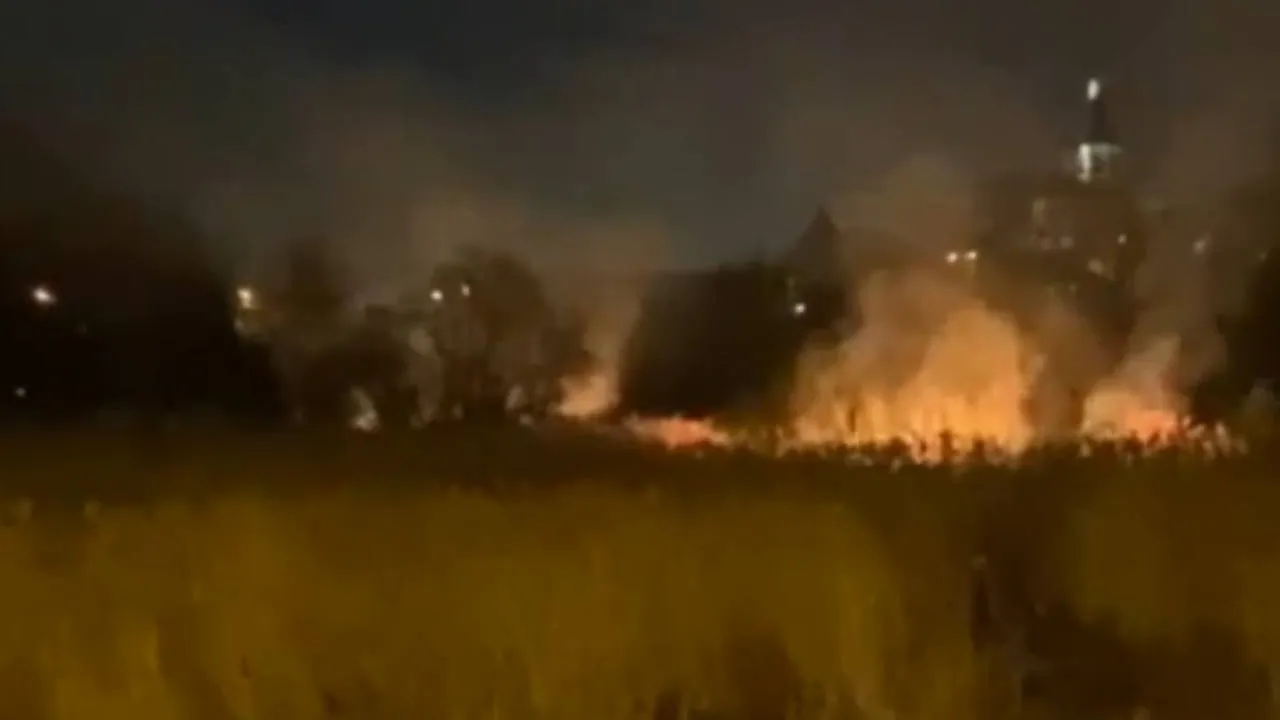 фото: t.me/Клин//Вклинивайся