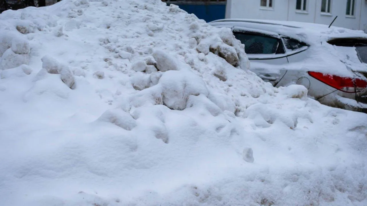 REGIONS/Роман Малышенко