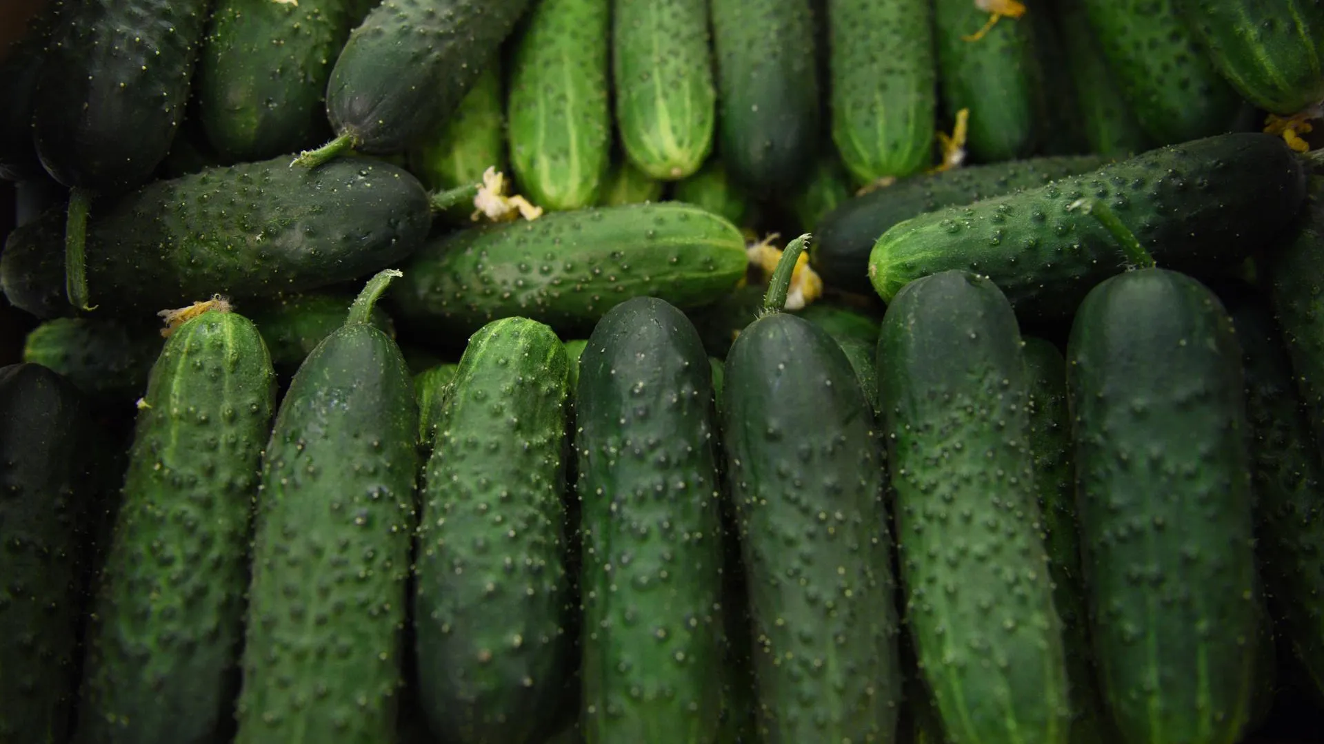 медиасток.рф