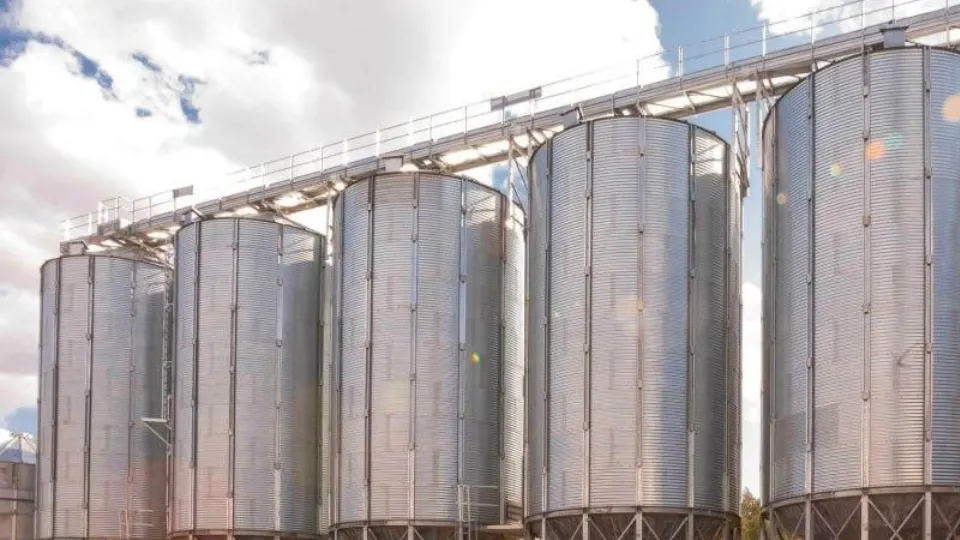 Фото: Компания «Мустанг Ступино»