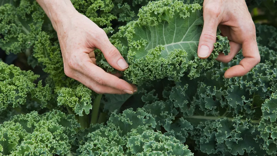 Фото: istockphoto.com