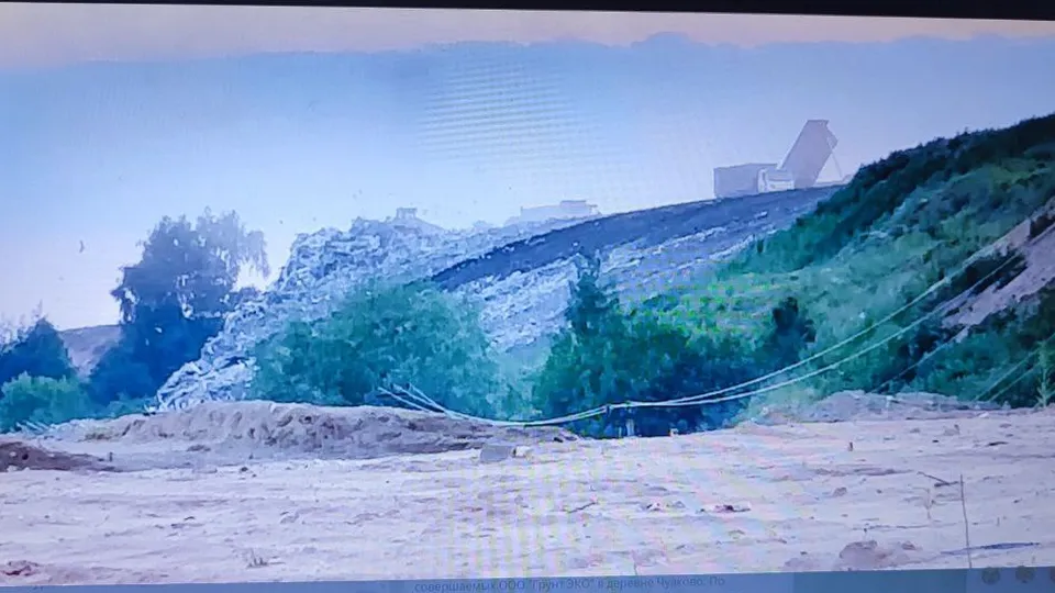 Фото: Елена Забелина