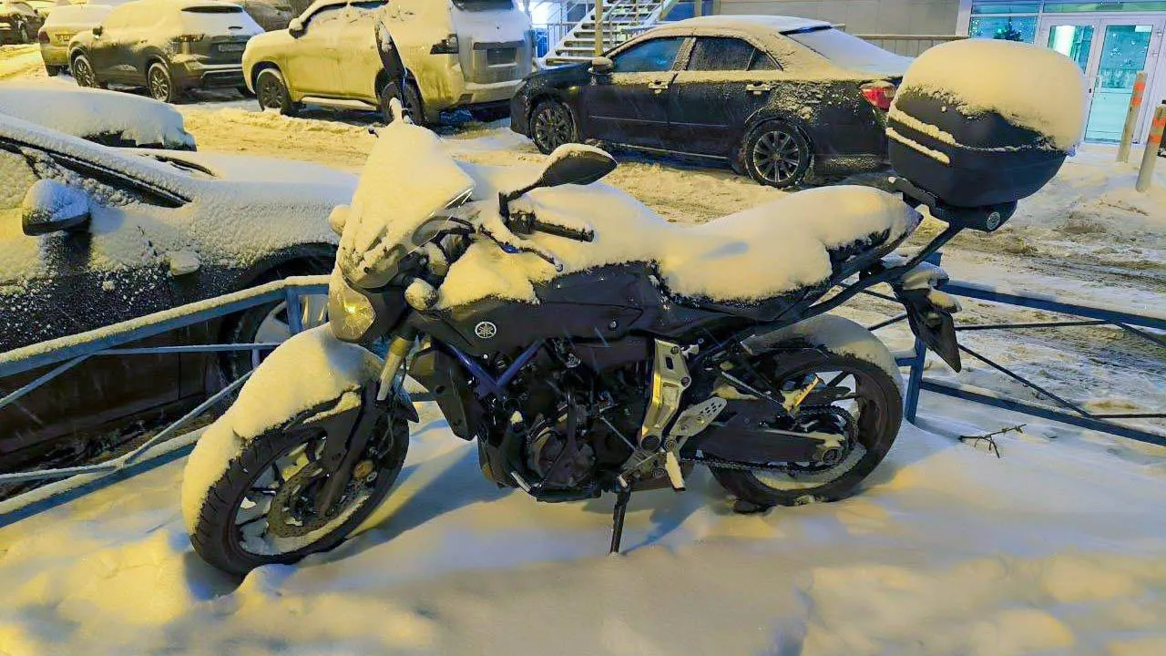 REGIONS/Роман Малышенко