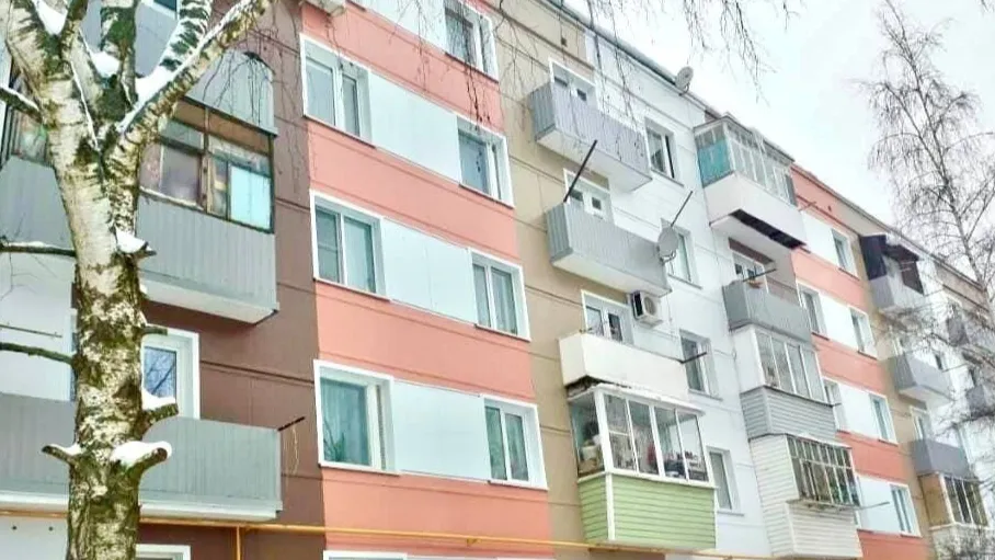фото: Богородский 360