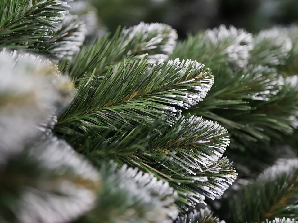 Фото: РИА Новости/Виталий Тимкив