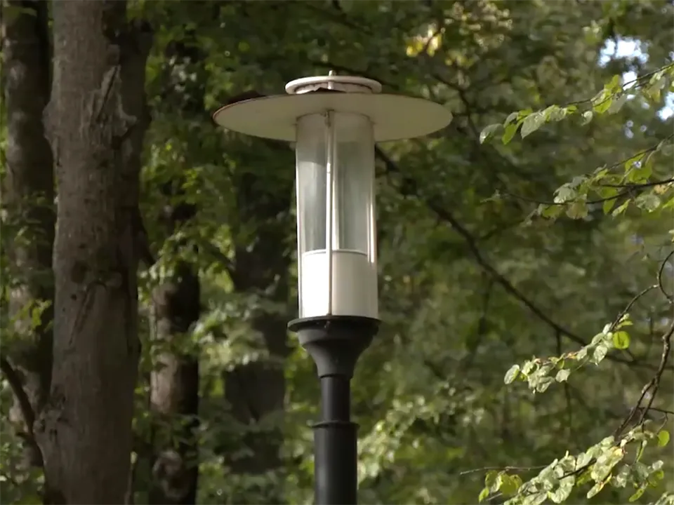 Фото: Пушкино ТВ