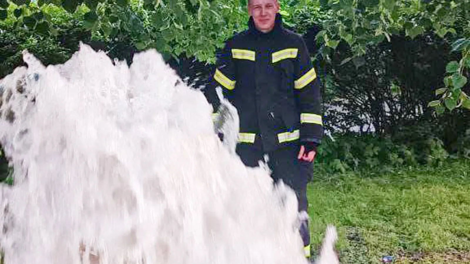 Фото: ГУ МЧС России по Московской области