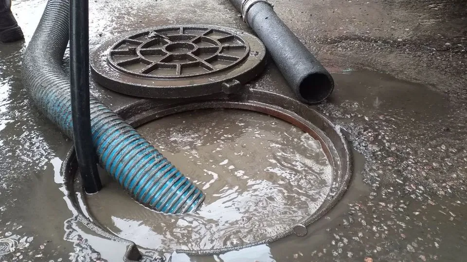 Фото: МедиаБанк Подмосковья/Валерия Тингаева