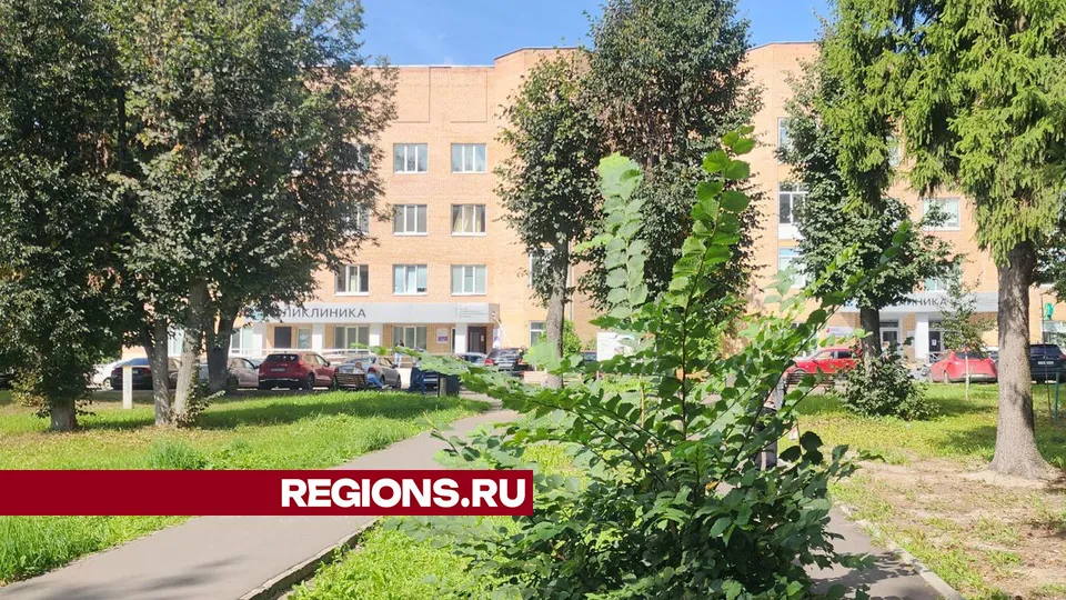 Фото: Хавива Фонина