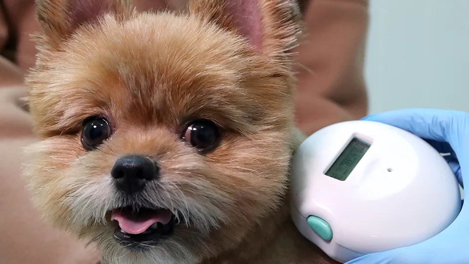 Фото: ТАСС/Сергей Карпухин