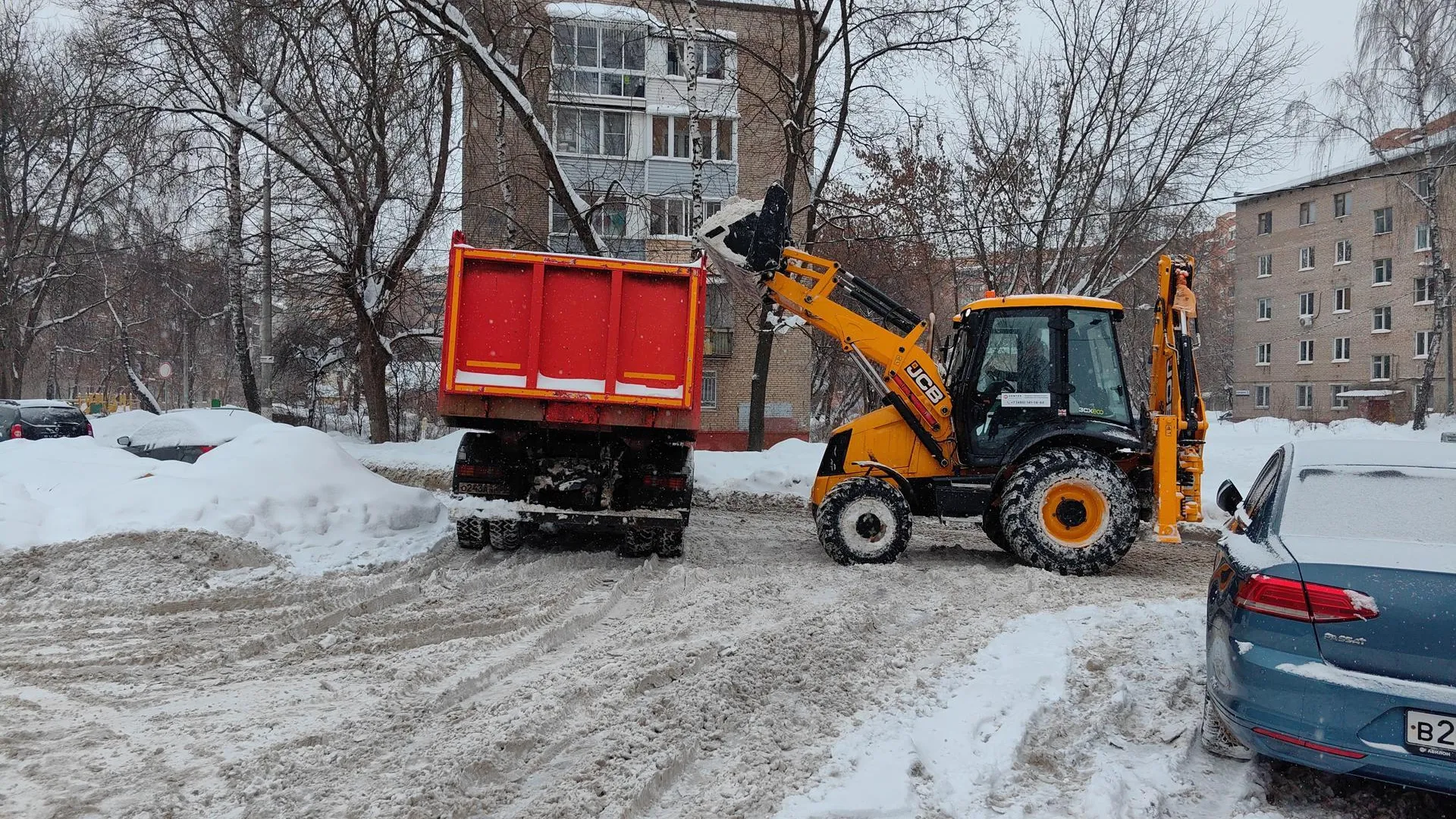 Елена Катасонова