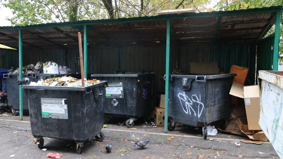 Фото: Алексей Грызлов