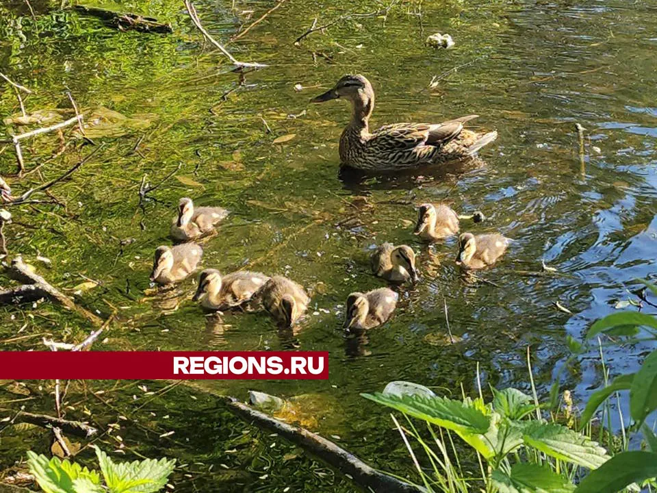 Фото: Валерия Тингаева