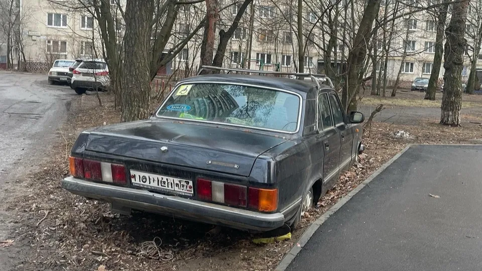 Фото: пресс-служба администрации г.о. Жуковский