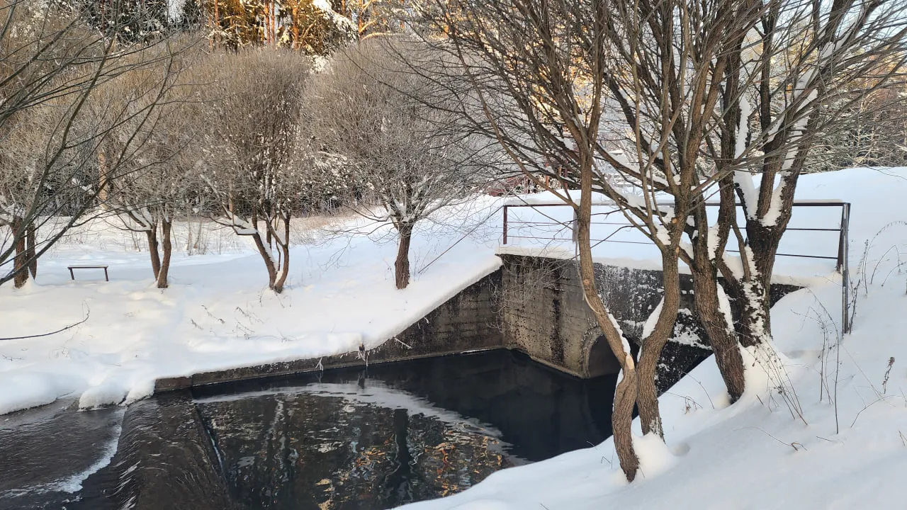 Фото: МедиаБанк Подмосковья/Роман Савельев