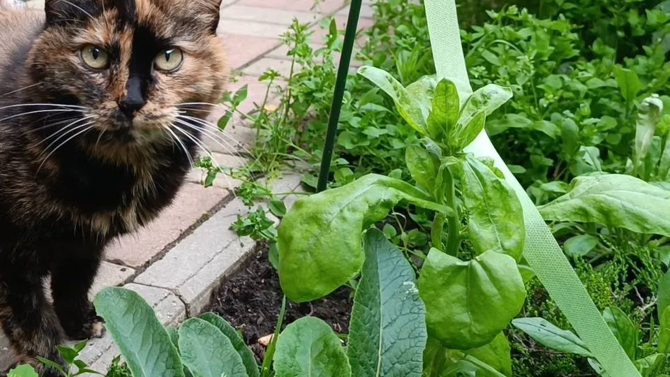 Фото: МедиаБанк Подмосковья/Екатерина Дятловская