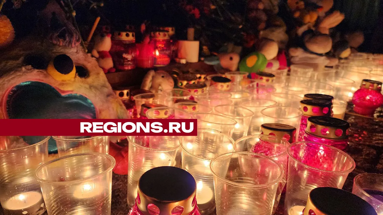 Фото: Мария Андрюхина