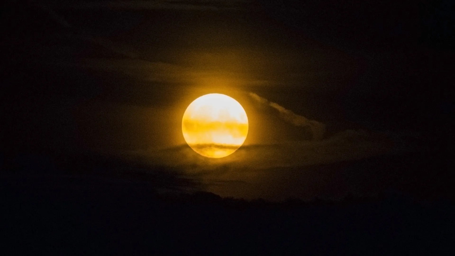 Фото: МедиаБанк Подмосковья/Добрынина Галина