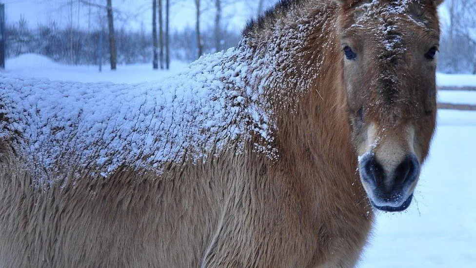 Фото: t.me/rare_animals_zoo