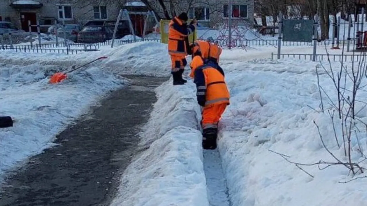 Фото: t.me/tatianavitusheva