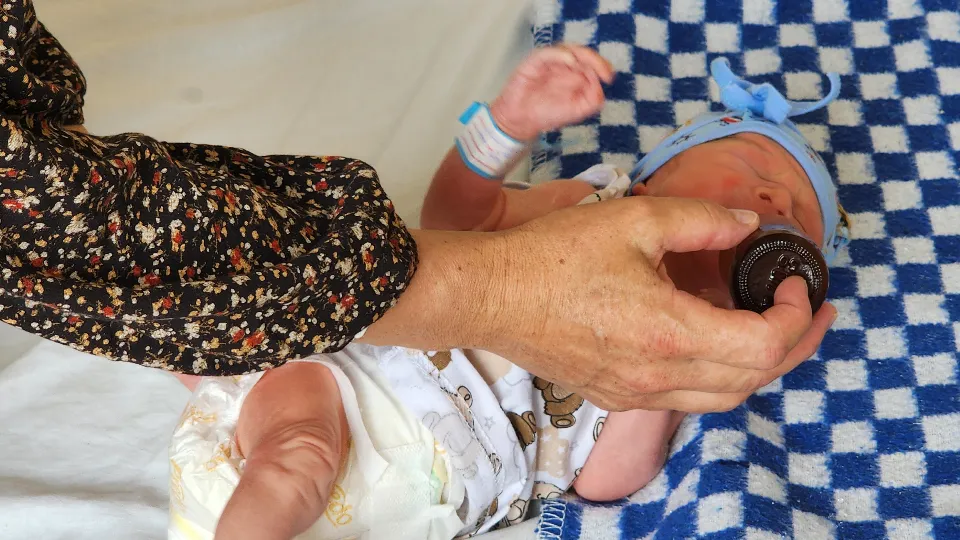 Фото: МедиаБанк Подмосковья/Валентина Максимова