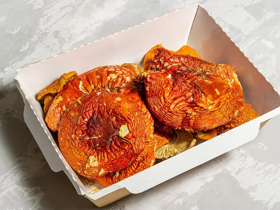 В России набирают популярность сушеные мухоморы: чем на самом деле чреваты их лечебные свойства