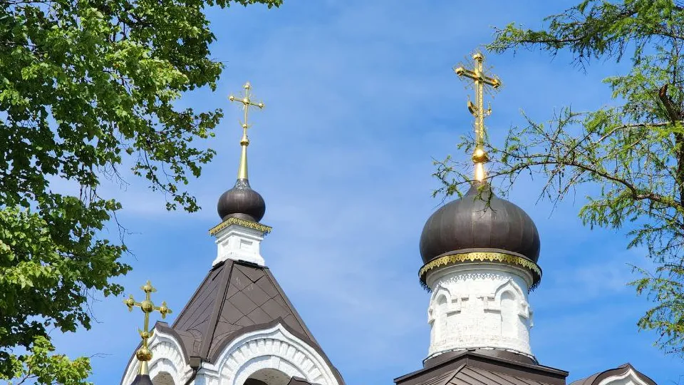 Фото: МедиаБанк Подмосковья/Евгений Рой