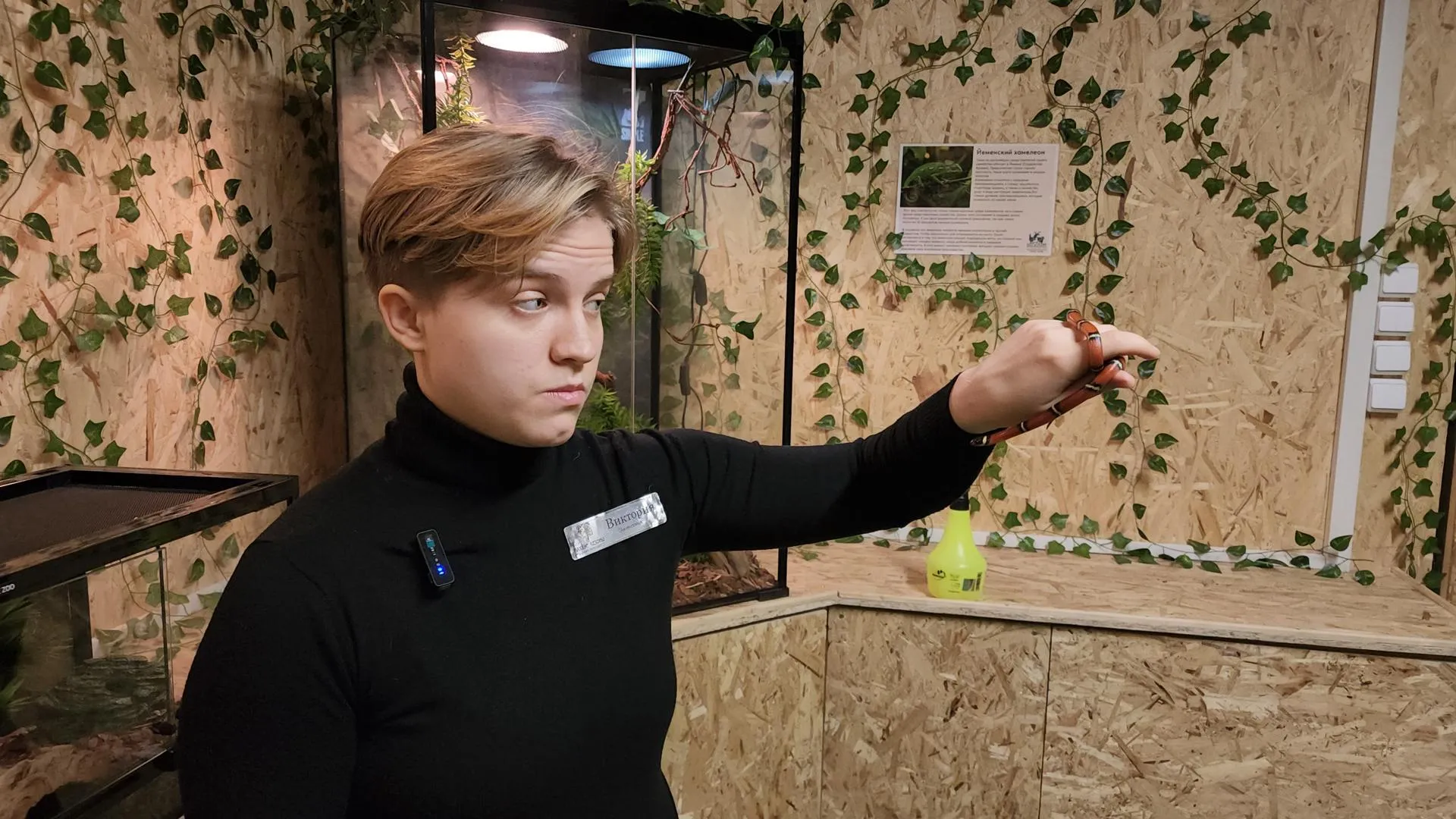 REGIONS/Елена Шумакова