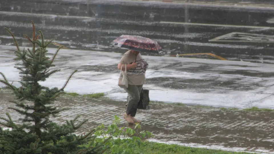 Фото: Василий Тремасов