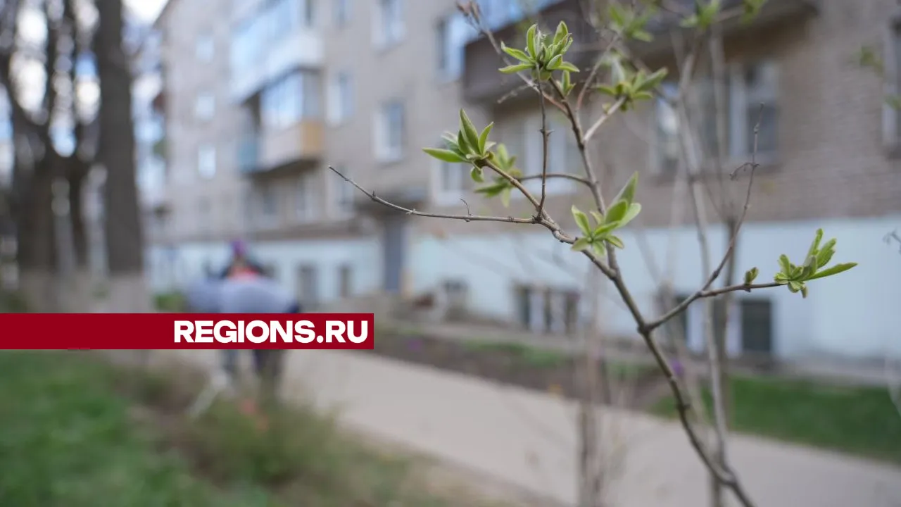 Фото: REGIONS/Дарья Леонова