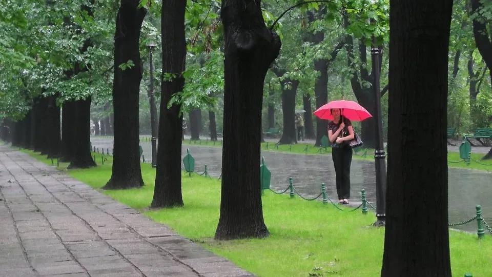 Фото: pxhere.com