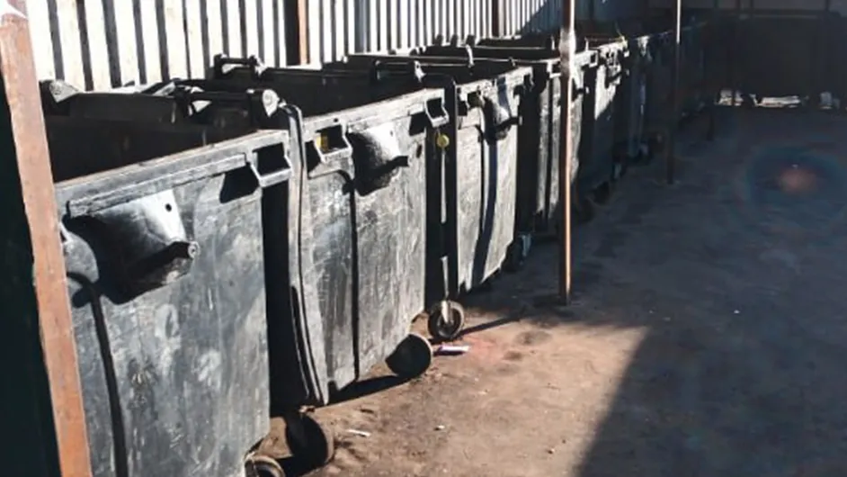 Фото: пресс-служба администрации Одинцовского г.о.