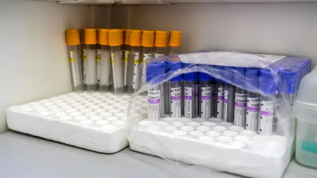 медиасток.рф