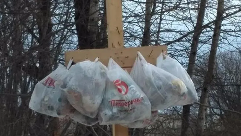  «НАШ ЗВЕНИГОРОД!» / Facebook