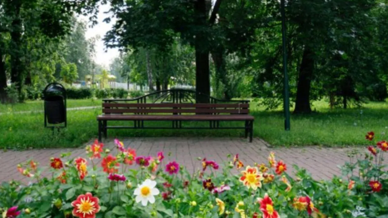 Фото: медиасток.рф