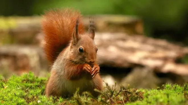 Фото: ru.freepik.com