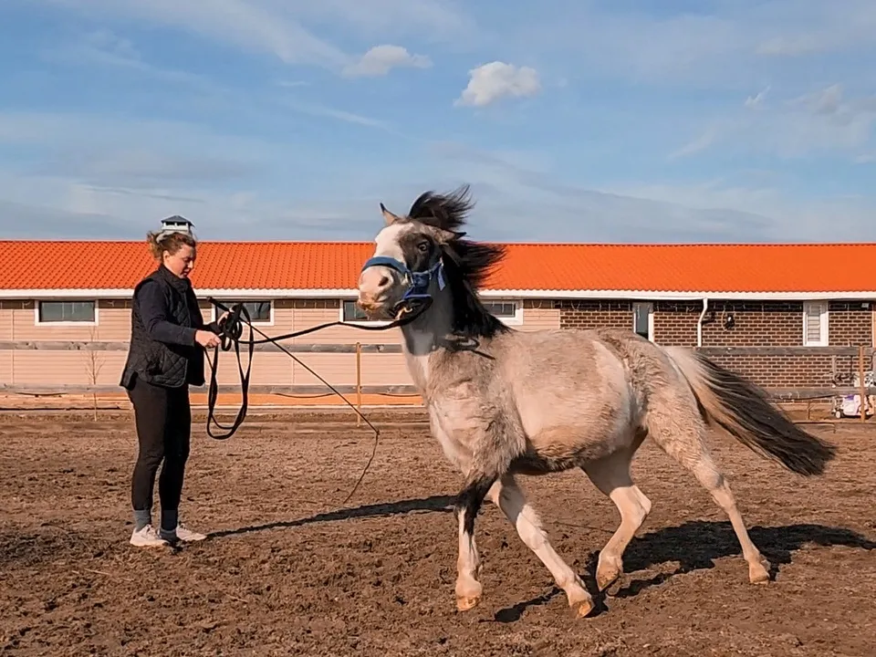 Фото: Ольга Антонова