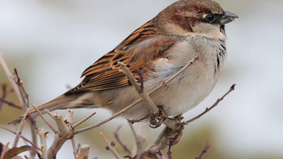 Фото: ТАСС/Эрик Романенко