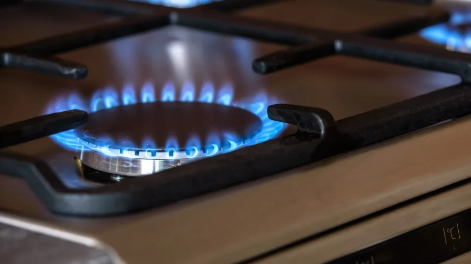 Фото: pxhere.com