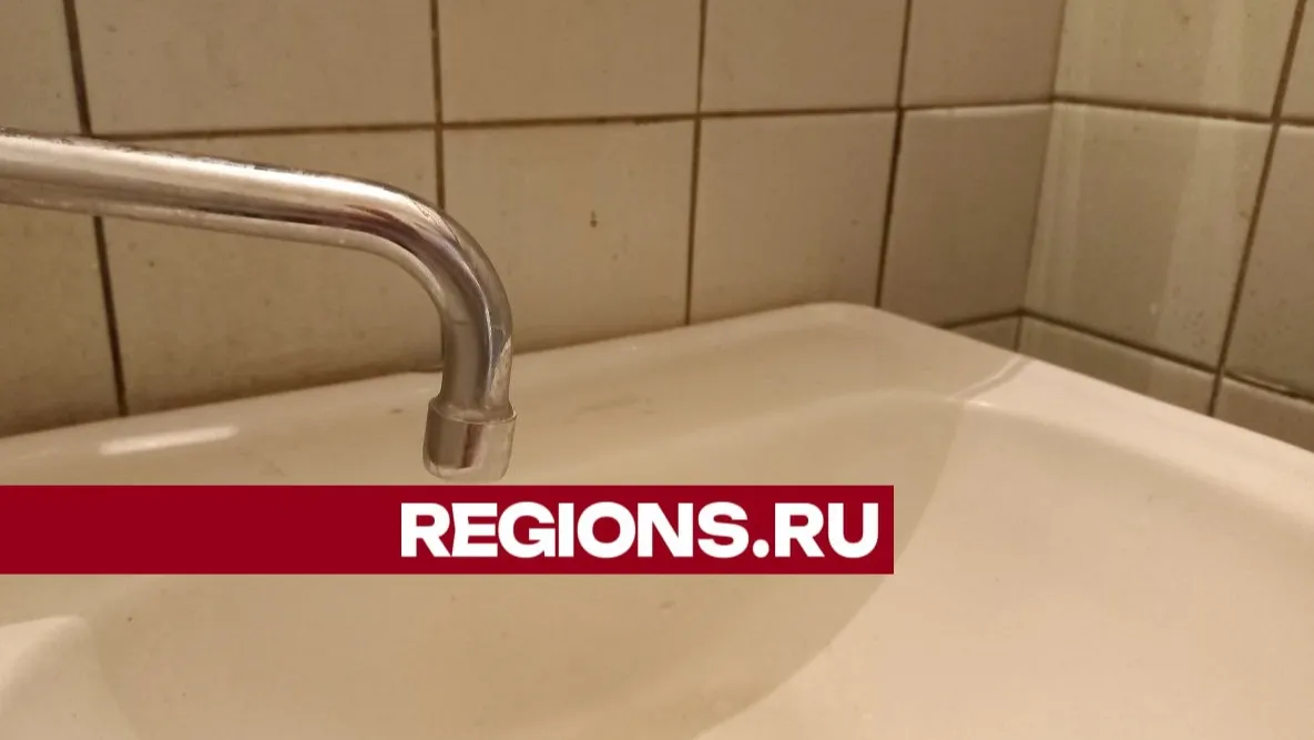 Фото: Олег Книжник