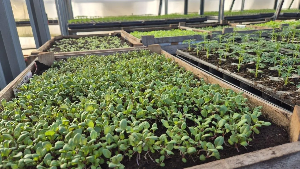 Администрация г.о. Дубна