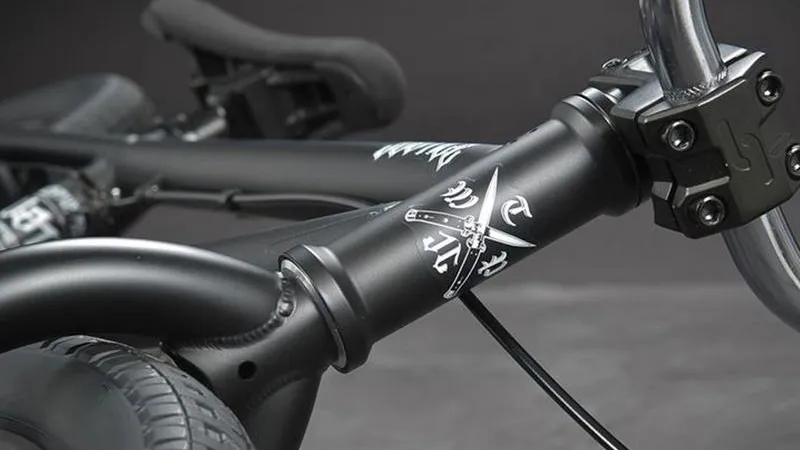 Велосипед за 75 тысяч похитили у жительницы Озер