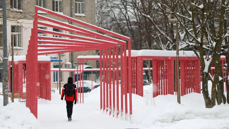 Фото: пресс-служба администрации г.о. Лобня